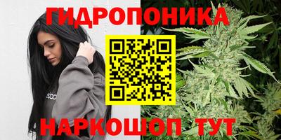 каннабис Ачхой-Мартан