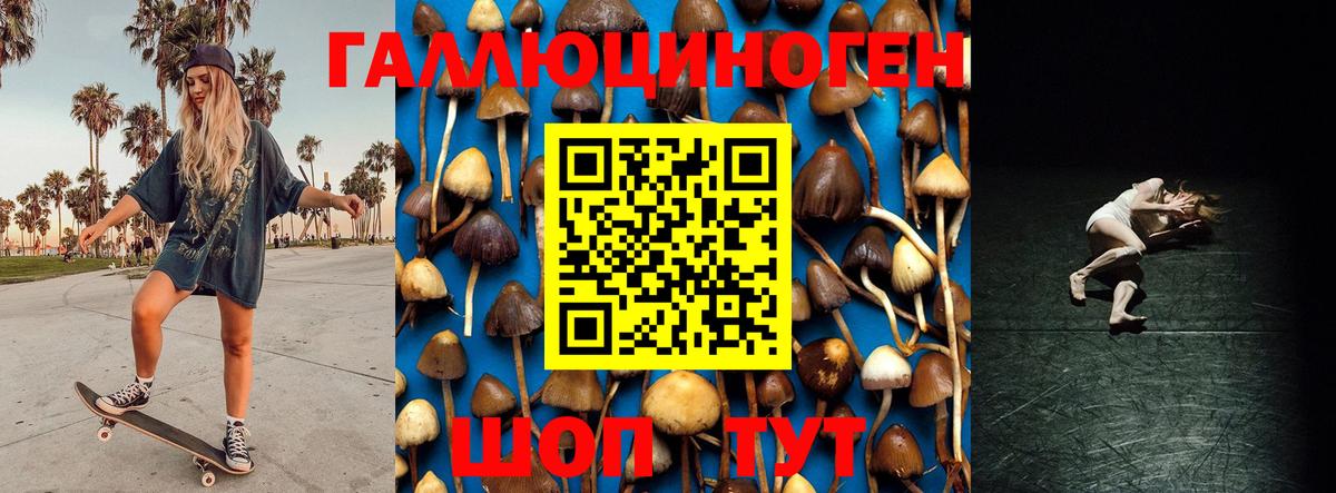 Галлюциногенные грибы мицелий Баксан