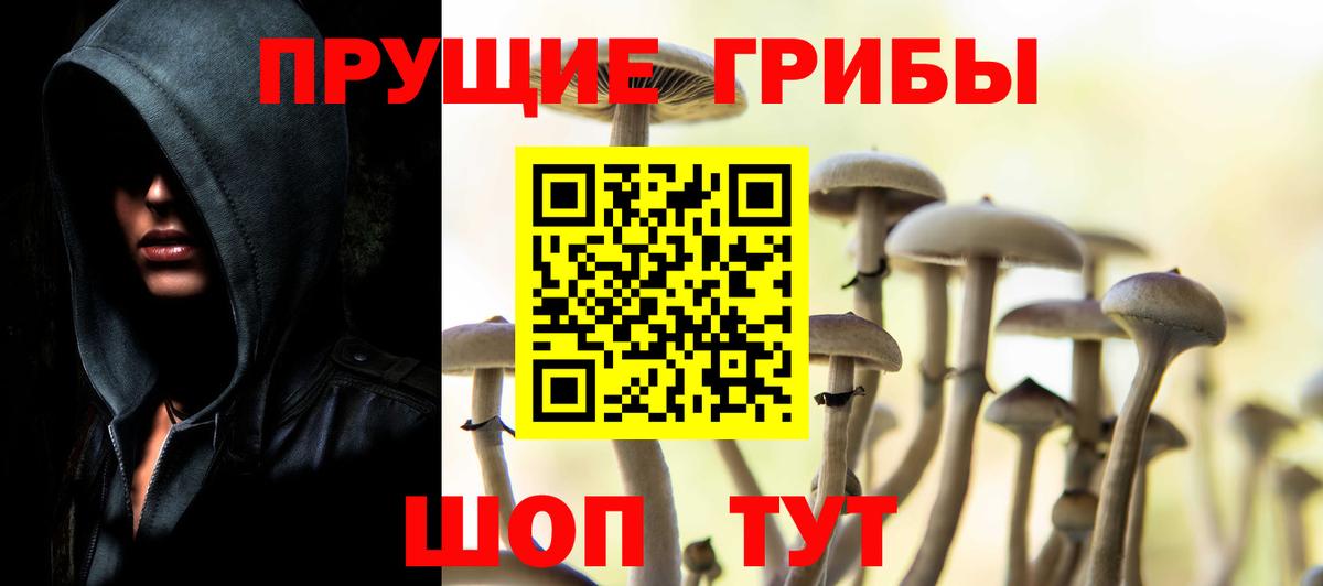 Баксан  Галлюциногенные грибы Psilocybe  хочу наркоту  Вход с VPN 